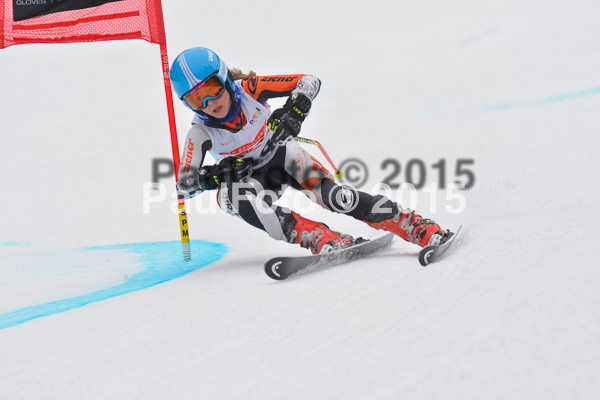 DSC U12 Finale 2015
