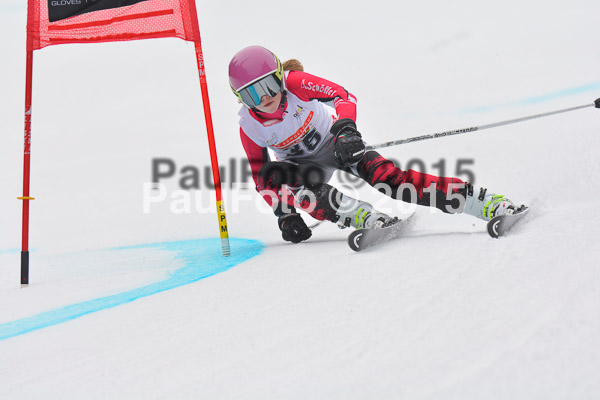 DSC U12 Finale 2015
