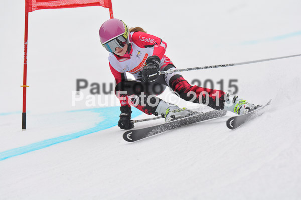 DSC U12 Finale 2015