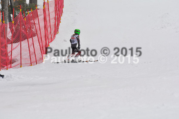 DSC U12 Finale 2015
