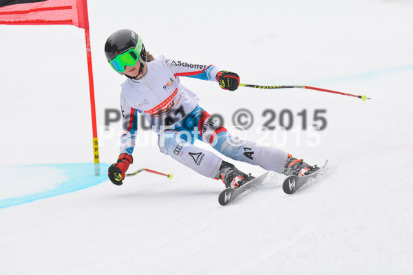 DSC U12 Finale 2015