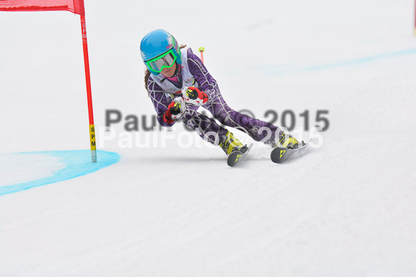 DSC U12 Finale 2015