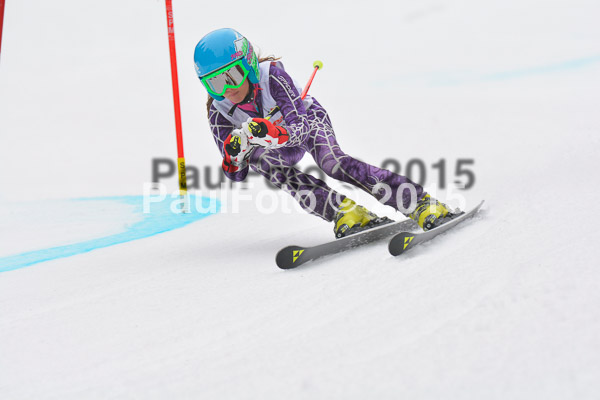 DSC U12 Finale 2015