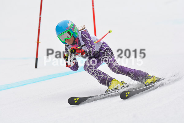 DSC U12 Finale 2015