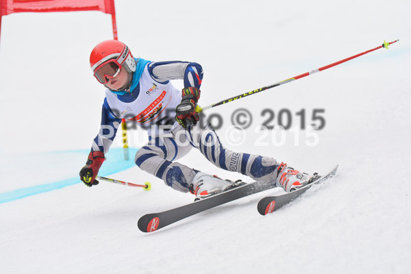 DSC U12 Finale 2015