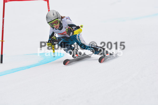 DSC U12 Finale 2015