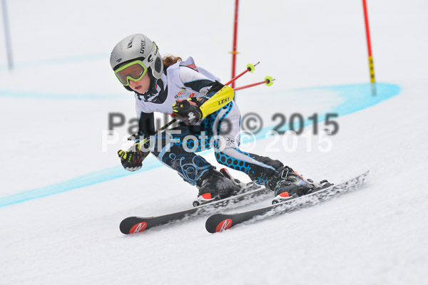 DSC U12 Finale 2015