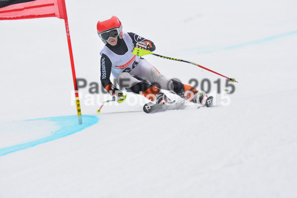 DSC U12 Finale 2015