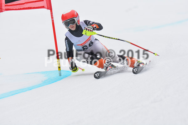 DSC U12 Finale 2015