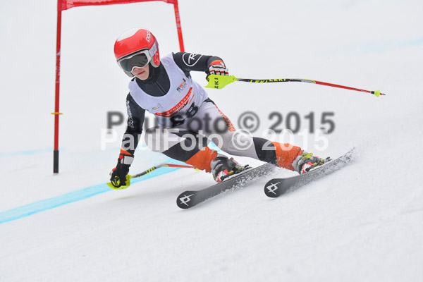 DSC U12 Finale 2015
