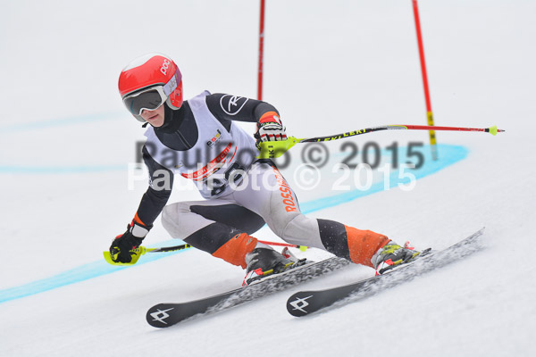 DSC U12 Finale 2015
