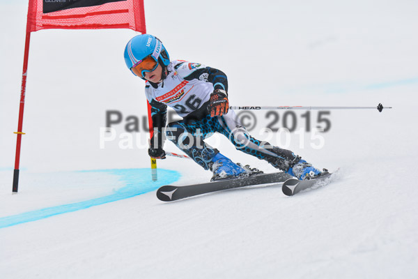 DSC U12 Finale 2015
