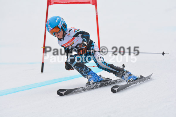 DSC U12 Finale 2015