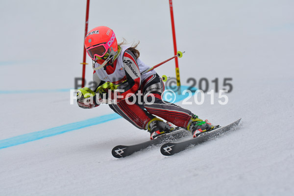 DSC U12 Finale 2015