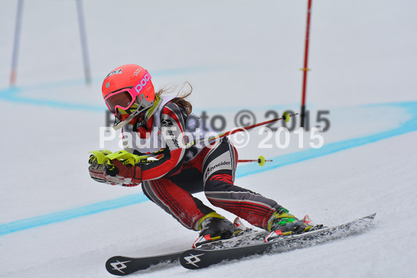 DSC U12 Finale 2015