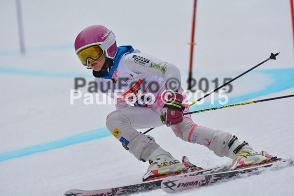 DSC U12 Finale 2015