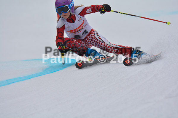DSC U12 Finale 2015