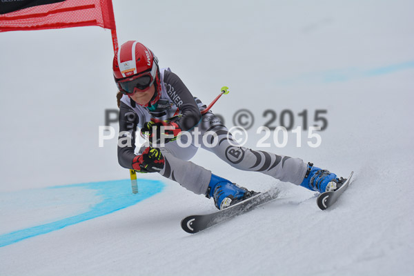 DSC U12 Finale 2015