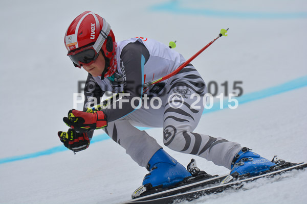 DSC U12 Finale 2015