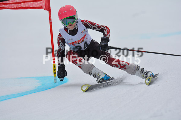 DSC U12 Finale 2015