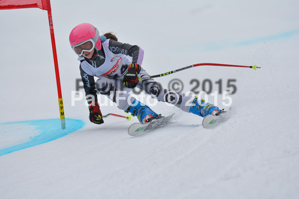 DSC U12 Finale 2015
