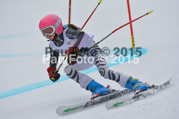 DSC U12 Finale 2015