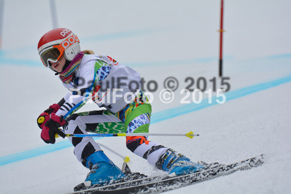 DSC U12 Finale 2015