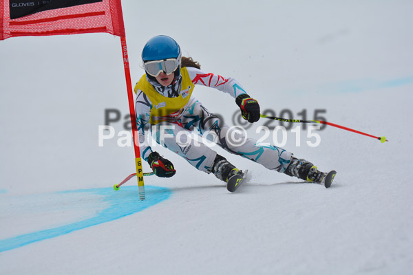 DSC U12 Finale 2015