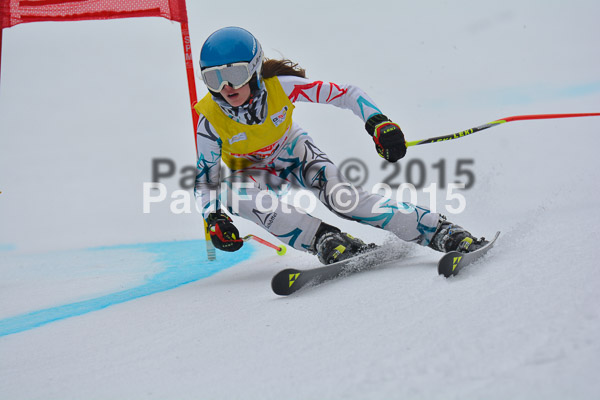 DSC U12 Finale 2015