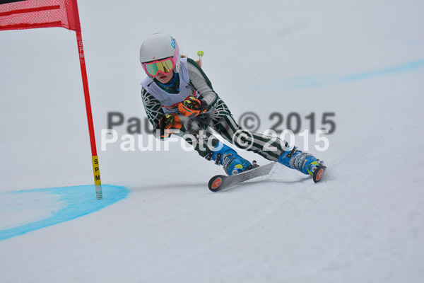 DSC U12 Finale 2015