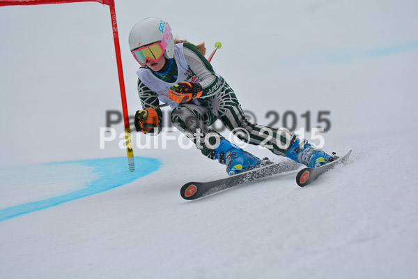 DSC U12 Finale 2015