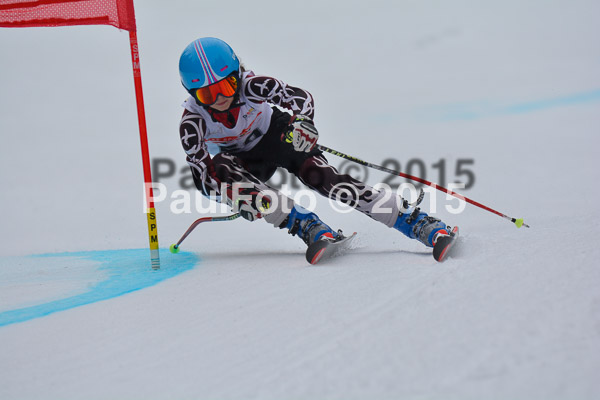DSC U12 Finale 2015