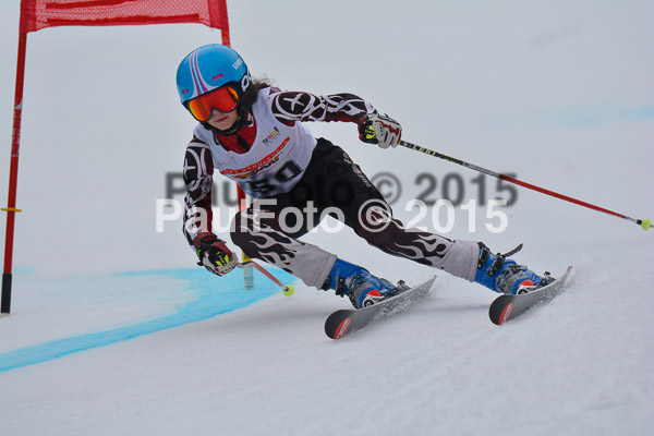 DSC U12 Finale 2015