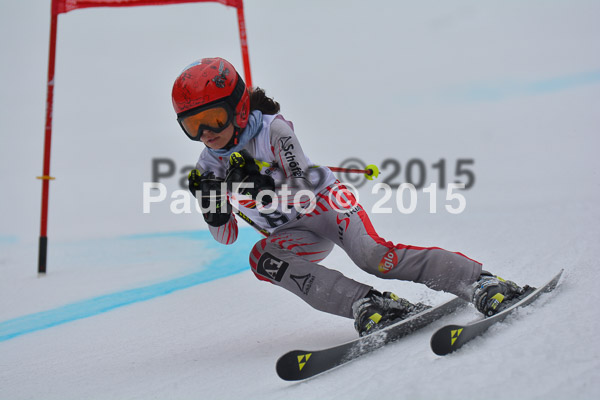 DSC U12 Finale 2015