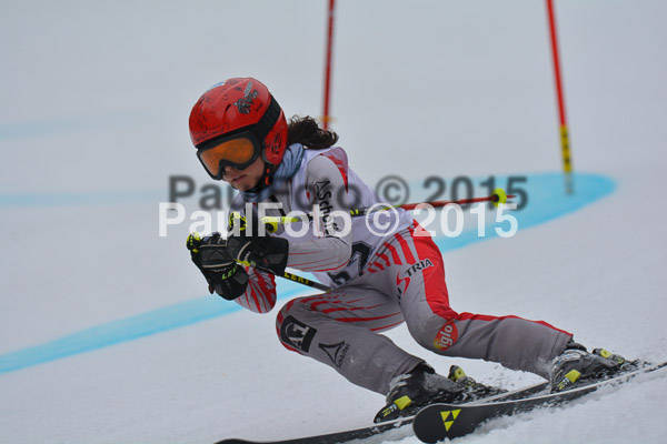 DSC U12 Finale 2015
