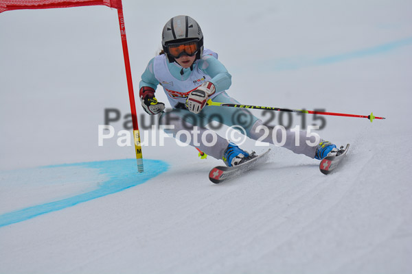 DSC U12 Finale 2015