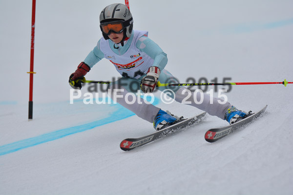 DSC U12 Finale 2015