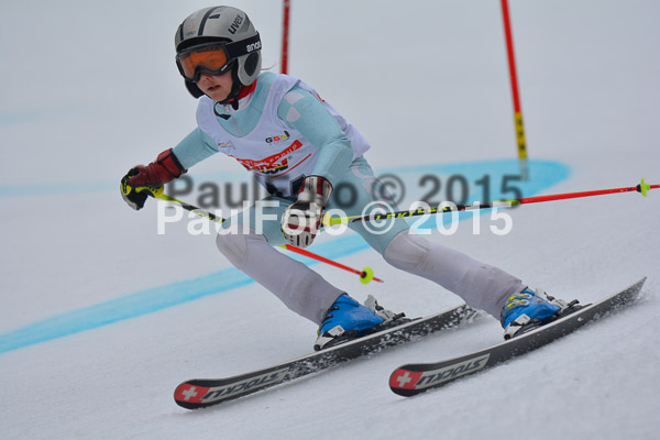 DSC U12 Finale 2015