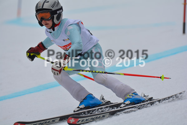 DSC U12 Finale 2015