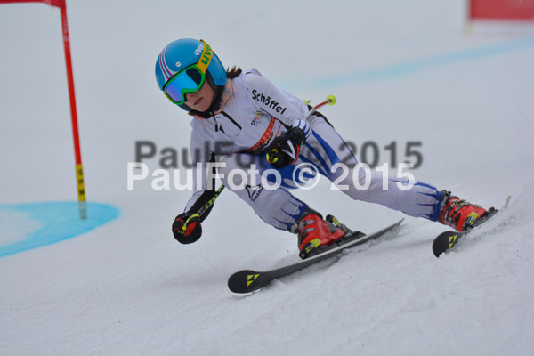 DSC U12 Finale 2015