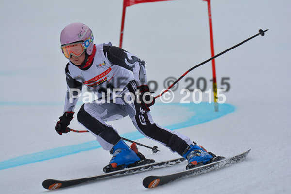 DSC U12 Finale 2015