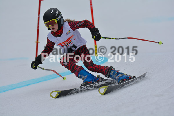 DSC U12 Finale 2015
