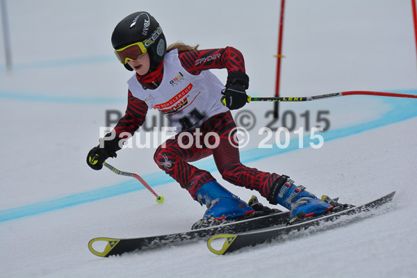 DSC U12 Finale 2015