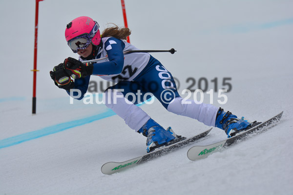 DSC U12 Finale 2015