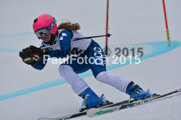 DSC U12 Finale 2015