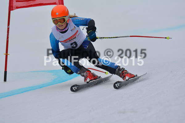 DSC U12 Finale 2015