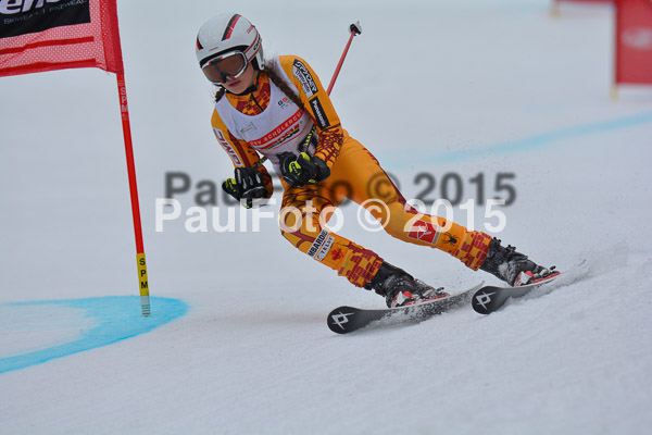 DSC U12 Finale 2015