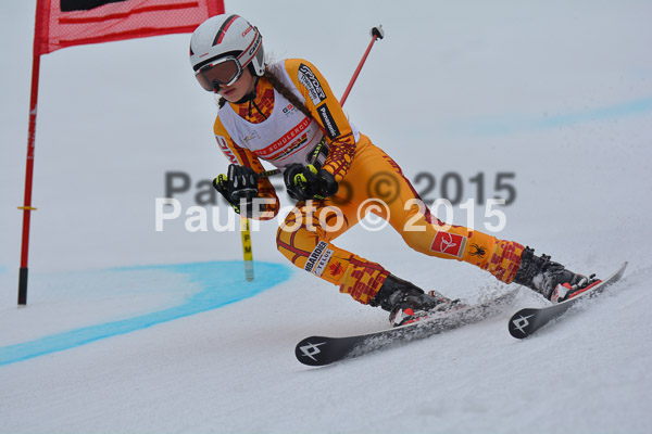 DSC U12 Finale 2015