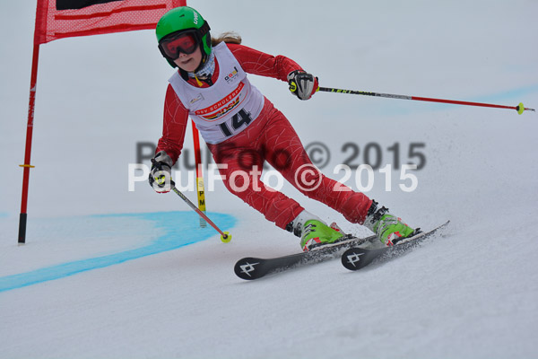 DSC U12 Finale 2015