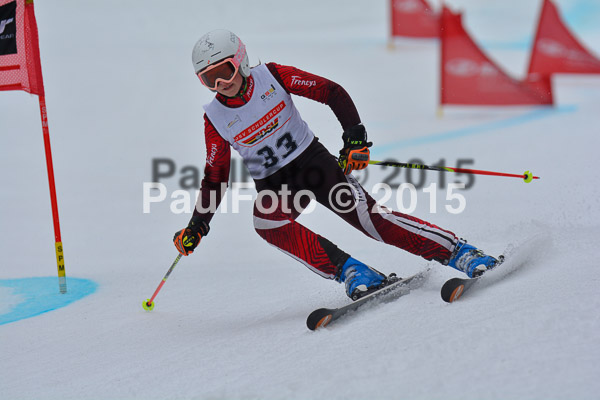 DSC U12 Finale 2015